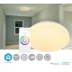 LED RGBW Stmievateľné stropné svietidlo SmartLife LED/18W/230V 3000-6500K Wi-Fi