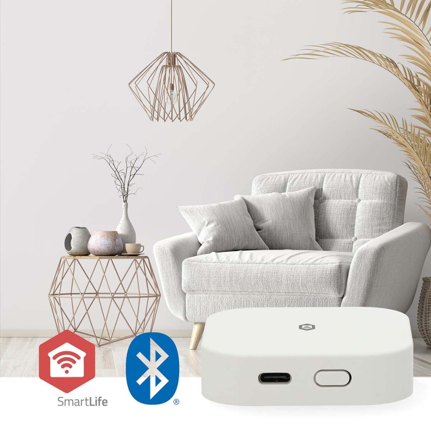 Inteligentná brána SmartLife 5V Wi‑Fi