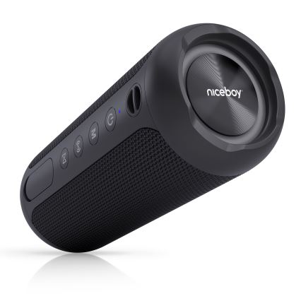 Niceboy Polaris - LED Bezdrôtový reproduktor s mikrofónom 30W/4000 mAh IPX7 čierna