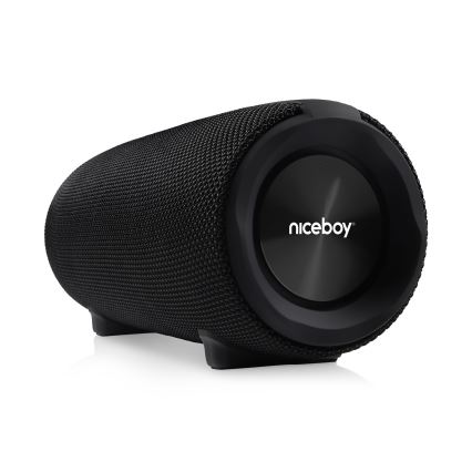 Niceboy Titan 4 - LED Bezdrôtový reproduktor s mikrofónom a funkcií powerbanky 50W/4000 mAh IPX7 čierna