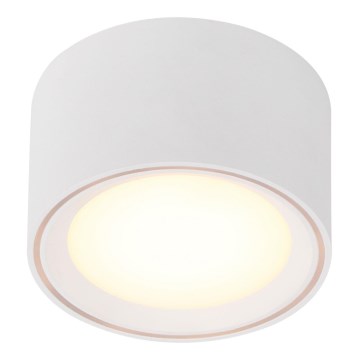 Nordlux - LED Bodové svietidlo FALLON LED/5,5W/230V biela