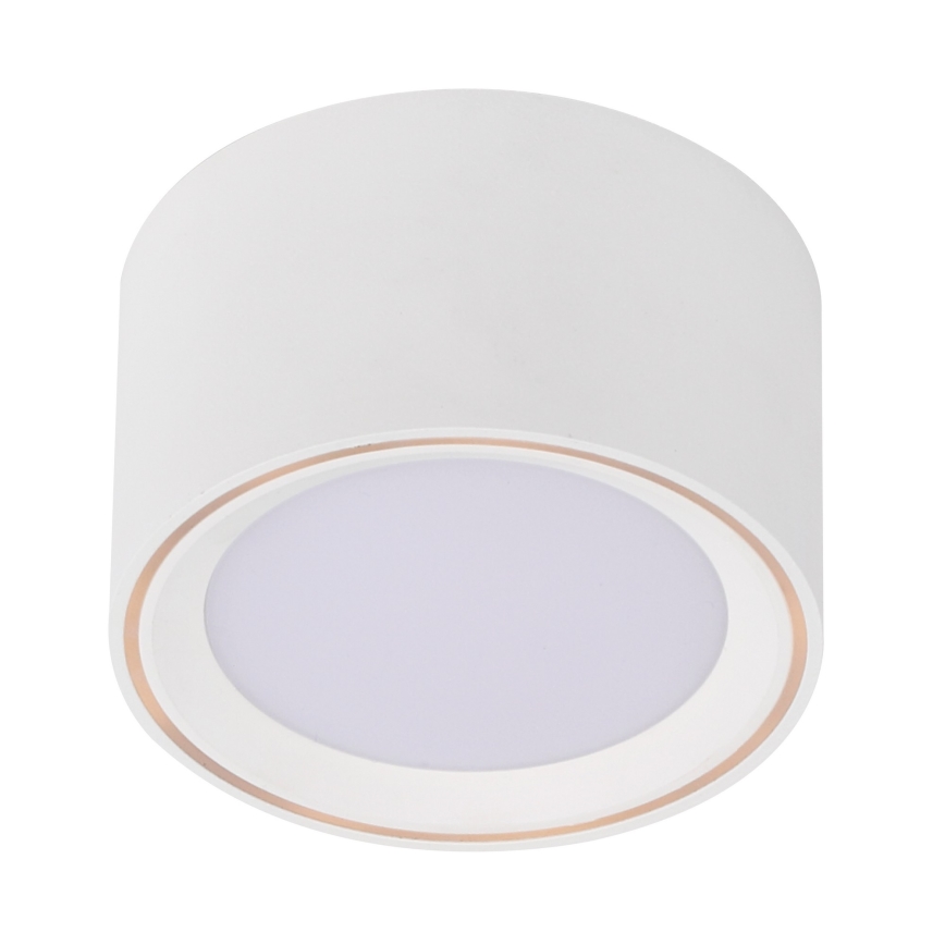 Nordlux - LED Stmievateľné bodové svietidlo FALLON LED/5,5W/230V biela