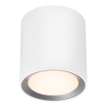Nordlux - LED Stmievateľné kúpeľňové bodové svietidlo LANDON LED/6,5W/230V IP44 biele