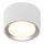 Nordlux - LED Stmievateľné stropné svietidlo FALLON LED/5,5W/230V 2700K pr. 10 cm biela