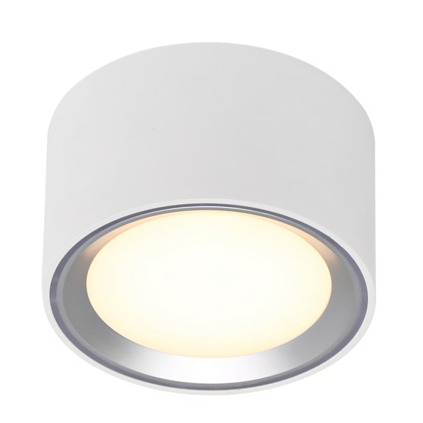 Nordlux - LED Stmievateľné stropné svietidlo FALLON LED/5,5W/230V 2700K pr. 10 cm biela
