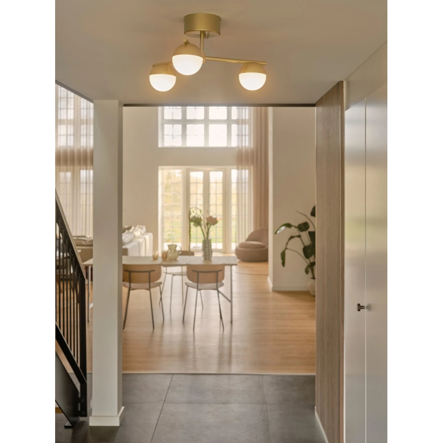 Nordlux - Prisadený luster CONTINA 3xG9/5W/230V mosadz