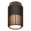 Nordlux - Vonkajšie stropné svietidlo ALUDRA 1xE27/15W/230V pr. 12,4 cm čierna