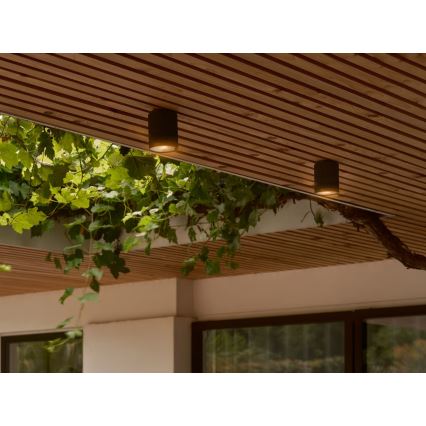 Nordlux - Vonkajšie stropné svietidlo KYKLOP 1xGU10/15W/230V IP54 čierna