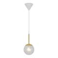 Nordlux - Závesné svietidlo na lanku CHISELL 1xE14/25W/230V