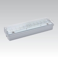Núdzové svietidlo CARLA LED LED/5,51W/230V dočasné 1h IP65