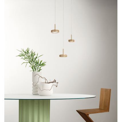 Ondaluce - LED luster na lanku NINA LED/20W/230V pr. 19 cm zlatá