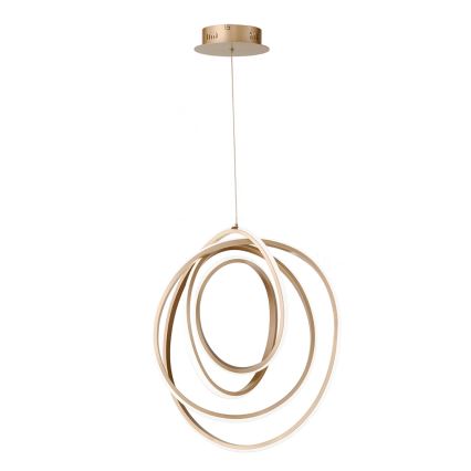 Ondaluce - LED stmievateľný luster na lane GOLDEN LED/50W/230V pr. 50 cm zlatý