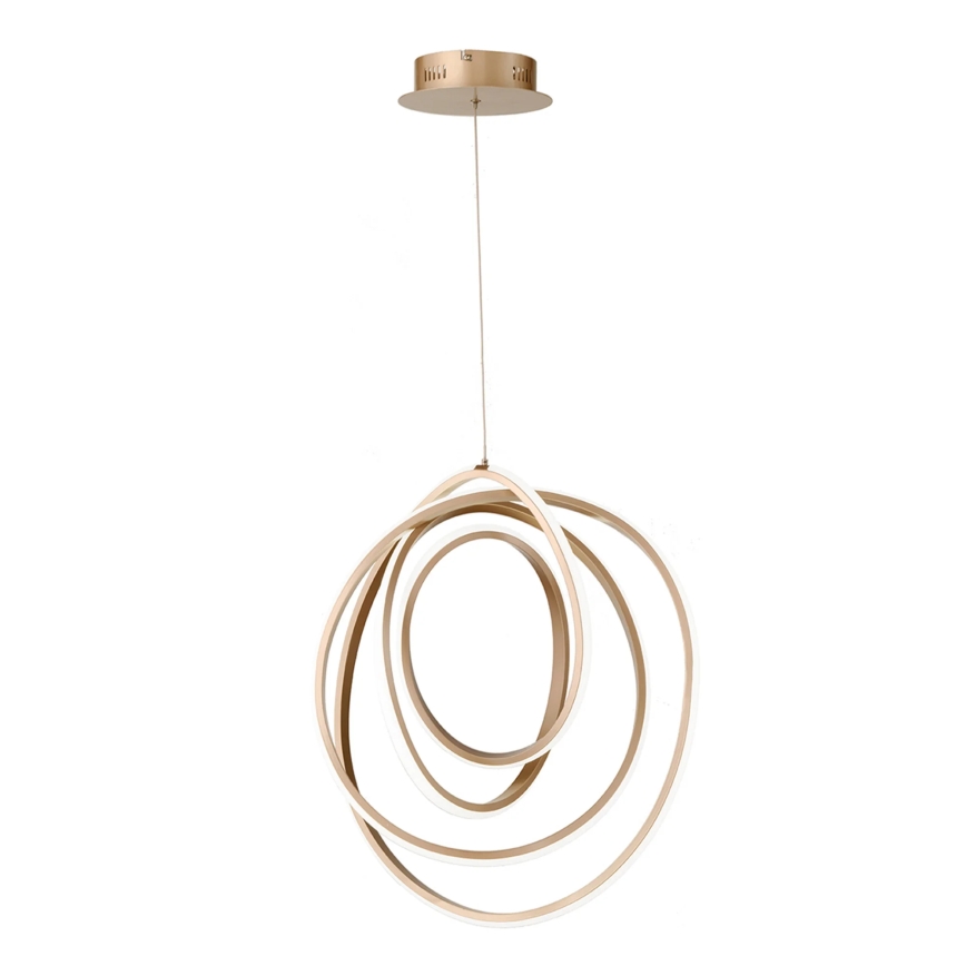 Ondaluce - LED stmievateľný luster na lane GOLDEN LED/50W/230V pr. 50 cm zlatý