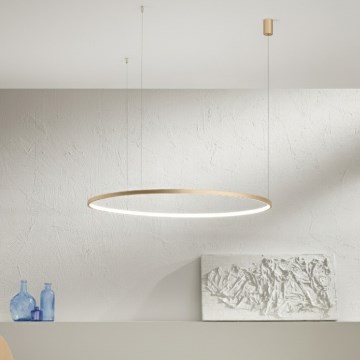 Ondaluce - LED stmievateľný luster na lane SOEL LED/38W/230V pr. 80 cm zlatý