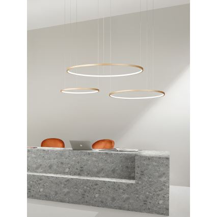 Ondaluce - LED stmievateľný luster na lane SOEL LED/38W/230V pr. 80 cm zlatý