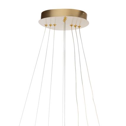 ONLI - LED luster na lanku NOELIA LED/40W/230V zlatý