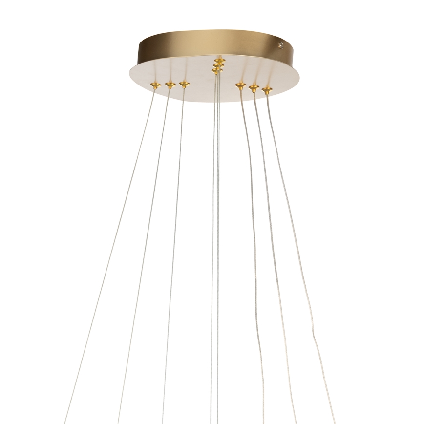 ONLI - LED luster na lanku NOELIA LED/40W/230V zlatý