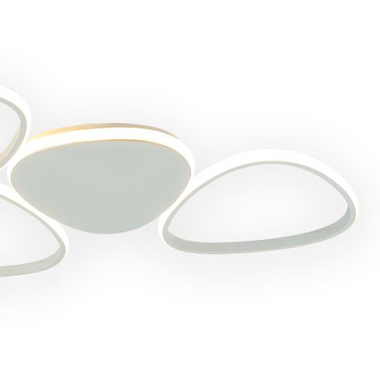 ONLI - LED Stropné svietidlo ROMEO LED/48W/230V 4000K biela