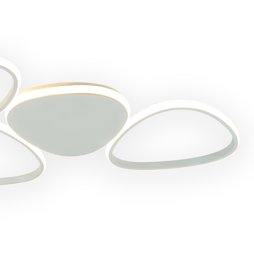 ONLI - LED Stropné svietidlo ROMEO LED/48W/230V 4000K biela