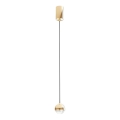 Open Design OR85099 - LED luster na lanku BOLICINA LED/5W/230V zlatý