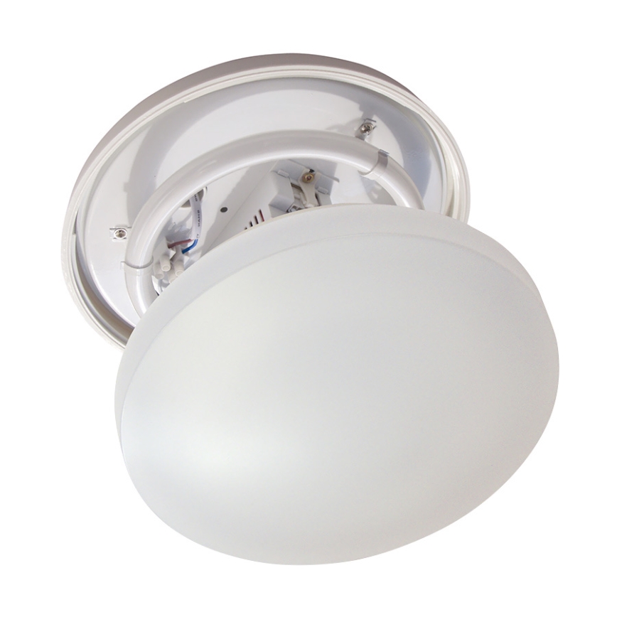 Fulgur 03111 - Kúpeľňové svietidlo FIMX 1xG10q/22W/230V 6500K