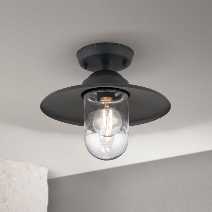 Vonkajší prisadený luster EDWARD 1xE27/60W/230V IP44 čierna