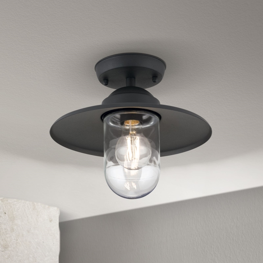 Vonkajší prisadený luster EDWARD 1xE27/60W/230V IP44 čierna