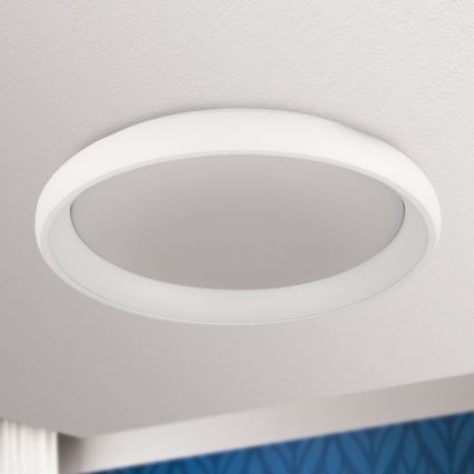 LED Stmievateľné stropné svietidlo VENUS LED/50W/230V pr. 61 cm biela