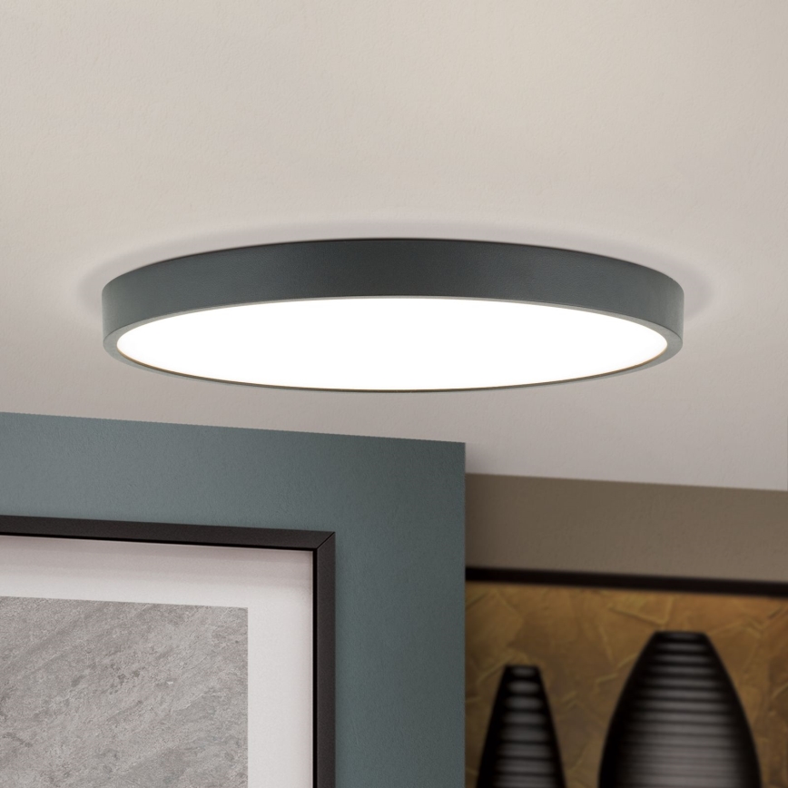 LED Stropné svietidlo BULLY LED/28W/230V pr. 28 cm čierna