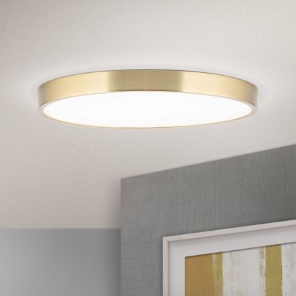 LED Stropné svietidlo BULLY LED/28W/230V pr. 28 cm zlatá