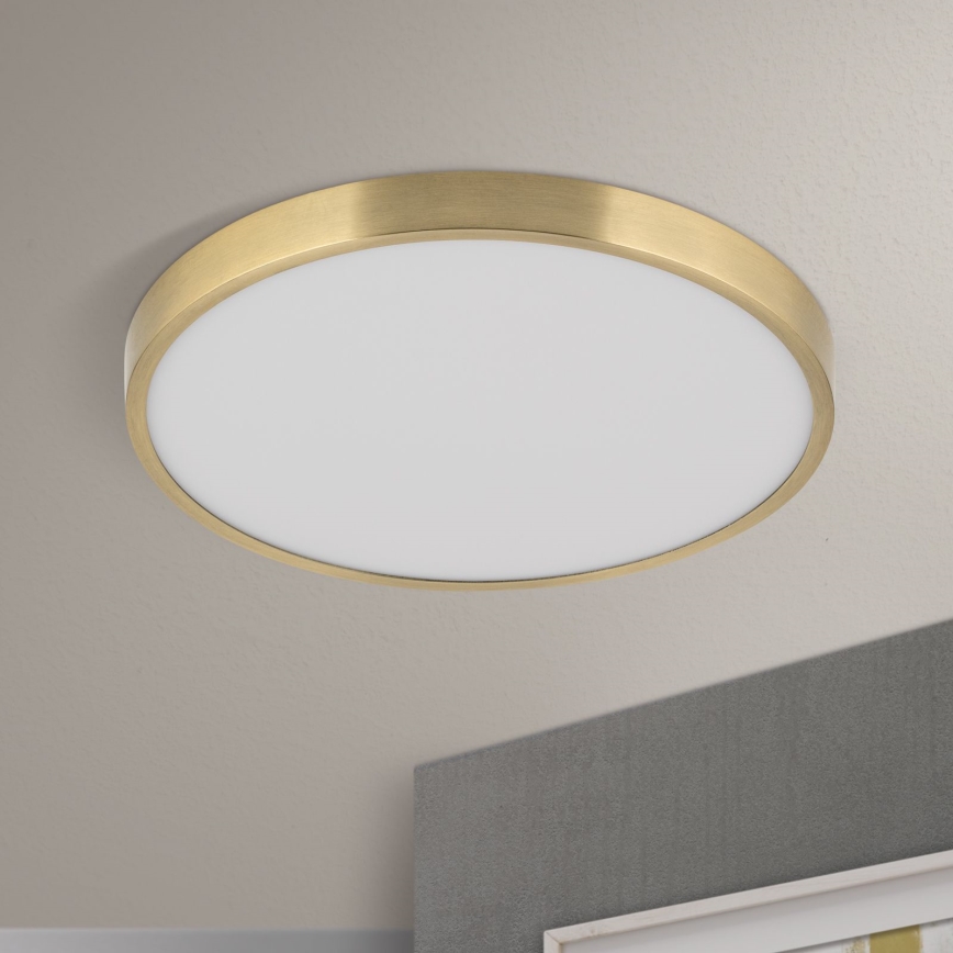 LED Stropné svietidlo BULLY LED/28W/230V pr. 28 cm zlatá