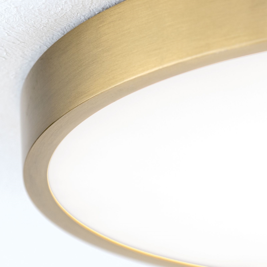 LED Stropné svietidlo BULLY LED/28W/230V pr. 28 cm zlatá