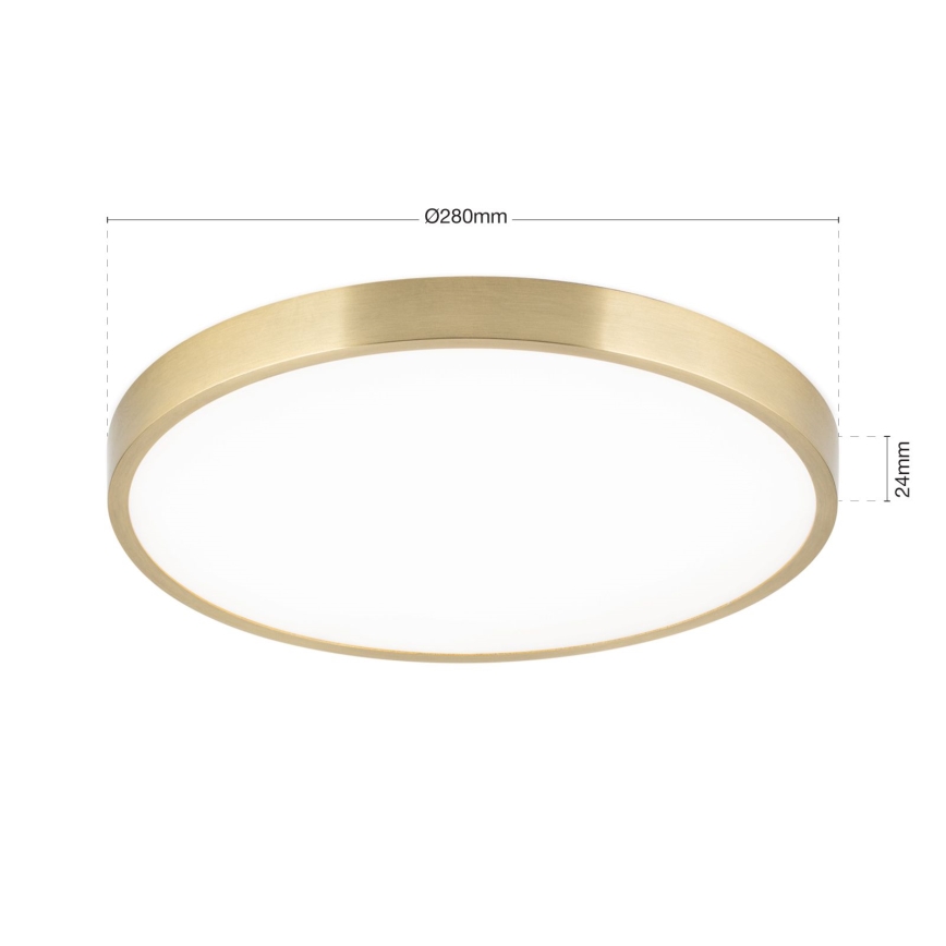 LED Stropné svietidlo BULLY LED/28W/230V pr. 28 cm zlatá