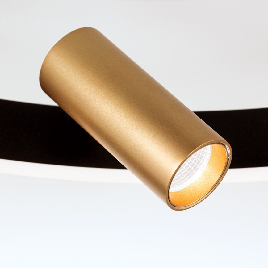 LED stmievateľné stropné svietidlo BERLIN LED/50W/230V čierna/zlatá