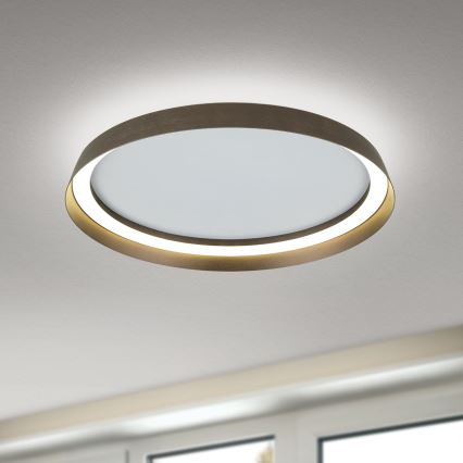 LED Stmievateľné stropné svietidlo MANTA LED/38W/230V 2700/3000/4000K pr. 45 cm hnedá