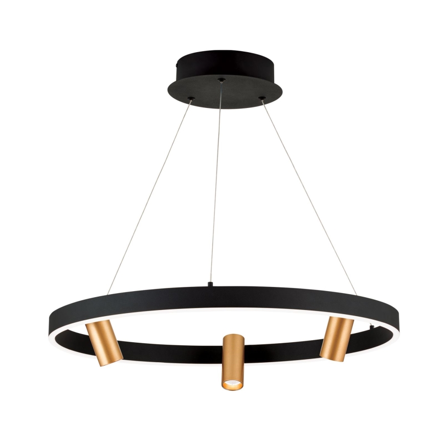 LED Stmievateľný luster na lanku BERLIN LED/50W/230V čierna/zlatá