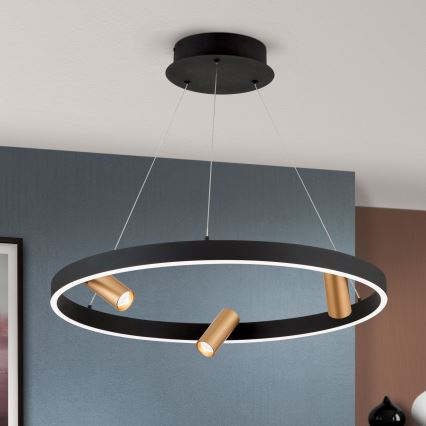 LED Stmievateľný luster na lanku BERLIN LED/50W/230V čierna/zlatá