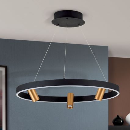 LED Stmievateľný luster na lanku BERLIN LED/50W/230V čierna/zlatá