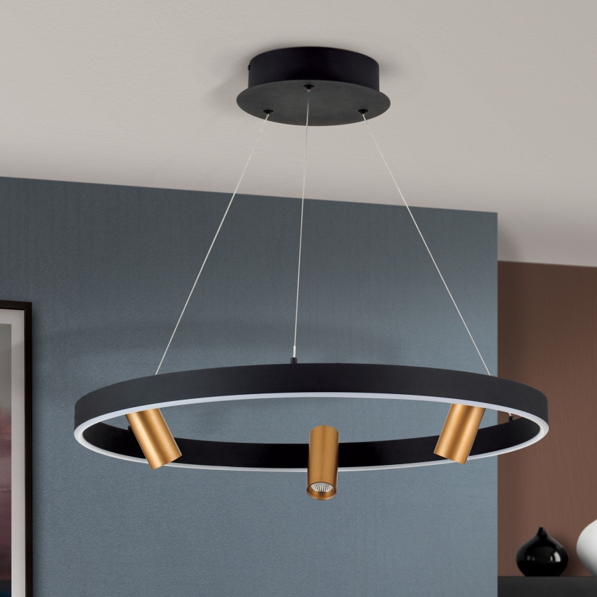LED Stmievateľný luster na lanku BERLIN LED/50W/230V čierna/zlatá