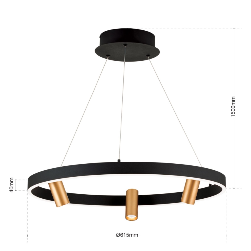 LED Stmievateľný luster na lanku BERLIN LED/50W/230V čierna/zlatá