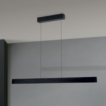 LED Stmievaťelný luster na lane TARA LED/44W/230V 2700/3800/4500/5700K čierna