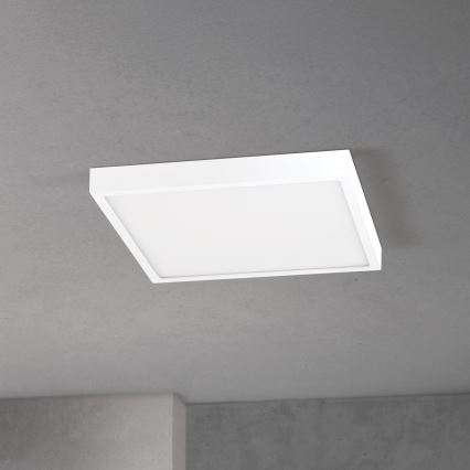 LED stmievateľné stropné svietidlo DISC LED/30W/230V 2700/3000/4000K 39x39 cm biela