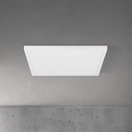 LED stmievateľné stropné svietidlo DISC LED/46W/230V 2700/3000/4000K 59x59 cm biela