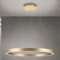 Orion - LED Stmievateľný luster na lane KOLK LED/80W/230V 2700/3000/4000K priemer 80 cm zlatá