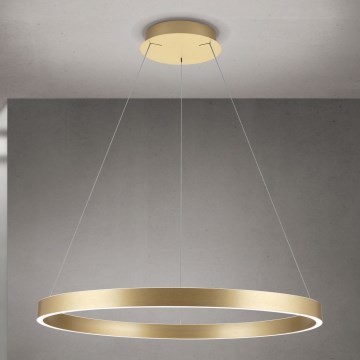 Orion - LED Stmievateľný luster na lane KOLK LED/80W/230V 2700/3000/4000K priemer 80 cm zlatá