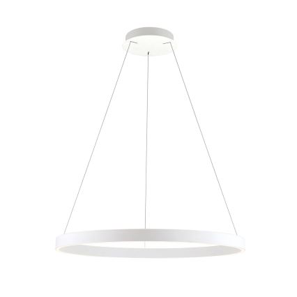 Orion - Stmievateľný LED závesný luster na lane KOLK LED/80W/230V 2700/3000/4000K pr. 80 cm biela