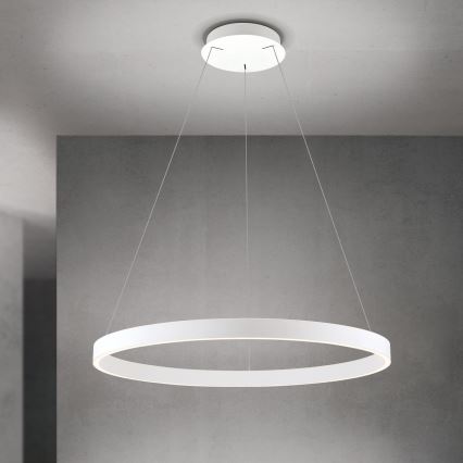 Orion - Stmievateľný LED závesný luster na lane KOLK LED/80W/230V 2700/3000/4000K pr. 80 cm biela