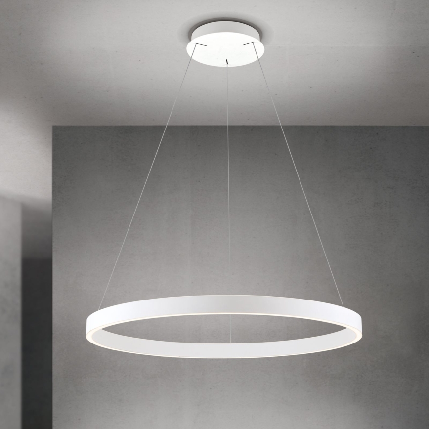 Orion - Stmievateľný LED závesný luster na lane KOLK LED/80W/230V 2700/3000/4000K pr. 80 cm biela