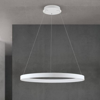 Orion - Stmievateľný LED závesný luster na lane KOLK LED/80W/230V 2700/3000/4000K pr. 80 cm biela