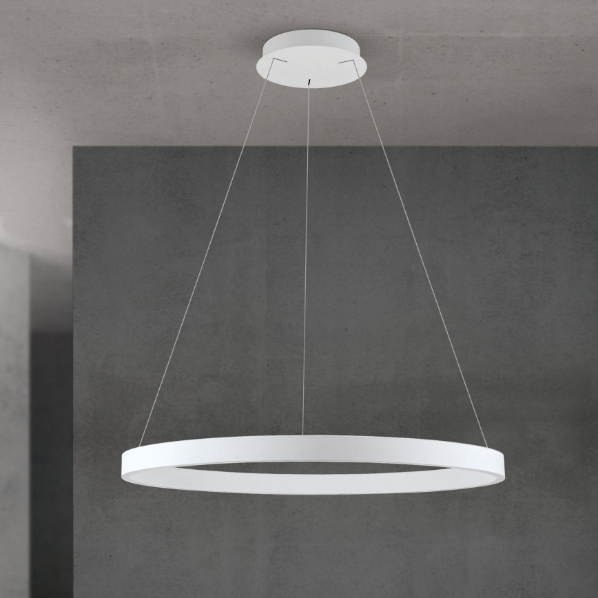 Orion - Stmievateľný LED závesný luster na lane KOLK LED/80W/230V 2700/3000/4000K pr. 80 cm biela